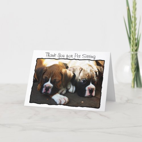 Thank You for Pet Sitting Boxer greeting card