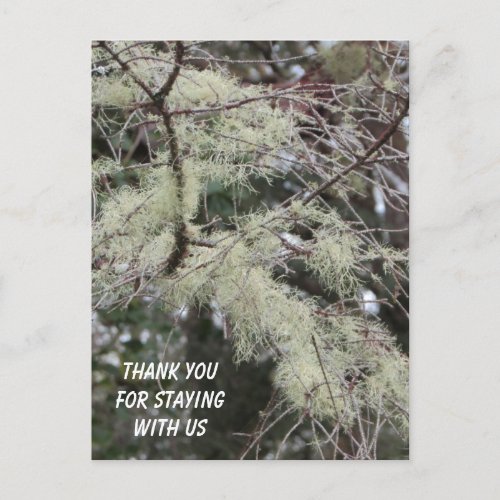 Thank You For Staying Moss Branches Rustic Guest Postcard