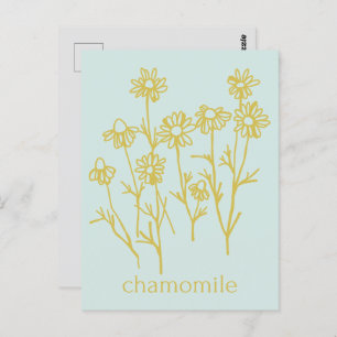 Thank You For Supporting My Business Chamomile Postcard