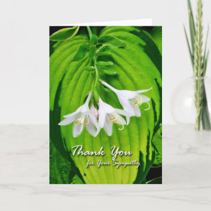 Thank You for Sympathy, Hosta Blooms