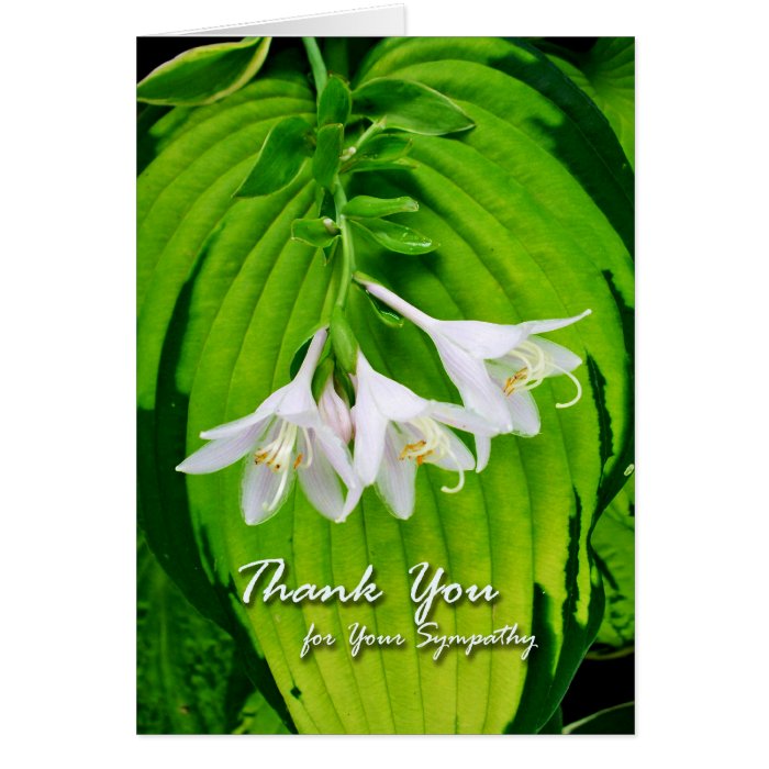 Thank You for Sympathy, Hosta Blooms Card