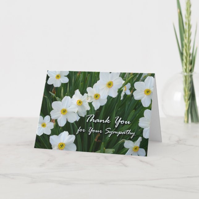 Thank You for Sympathy, Narcissus Flowers Card (Front)