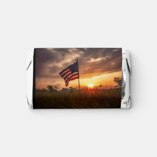 Thank you for your service hershey's miniatures