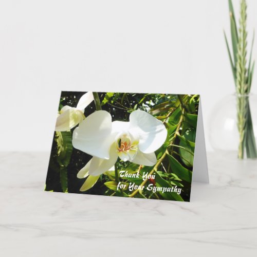 Thank You for Your Sympathy Card _ White Orchid