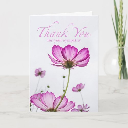 Thank You for Your Sympathy Magenta Cosmos Flower Card