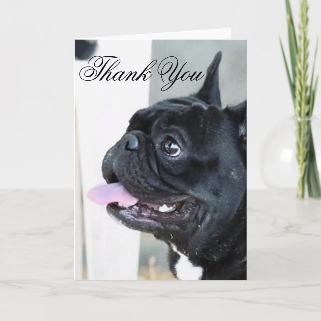 Thank You French Bulldog dog greeting card (Front)