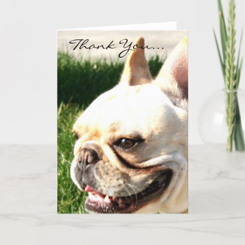 Thank you French bulldog greeting card