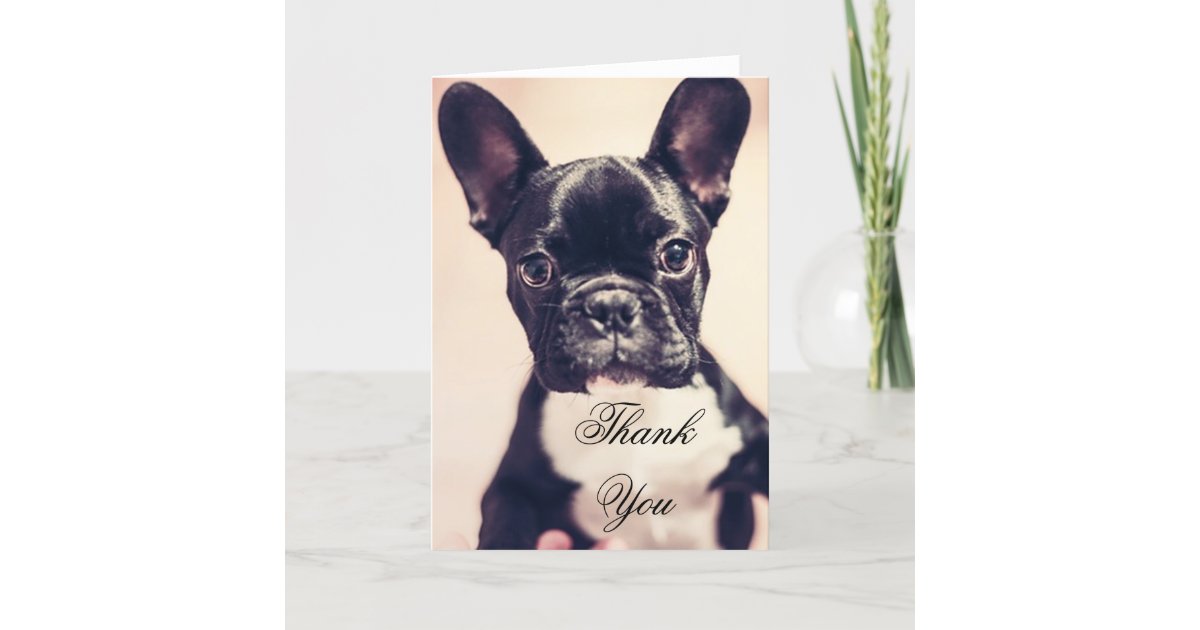Thank You French Bulldog greeting card | Zazzle.com