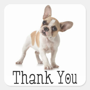 French Bulldog Thank You Stickers | Zazzle