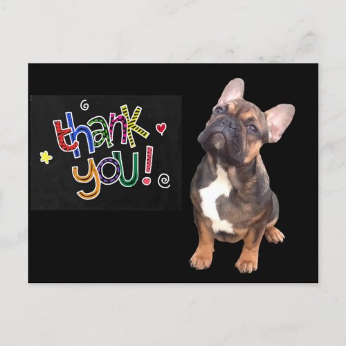 Thank you French Bulldogge postcard