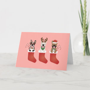Thank You French Bulldogs Christmas Card