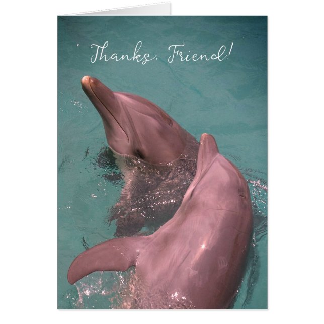 Thank You Friend Dolphins Playing Together Cards (Front)