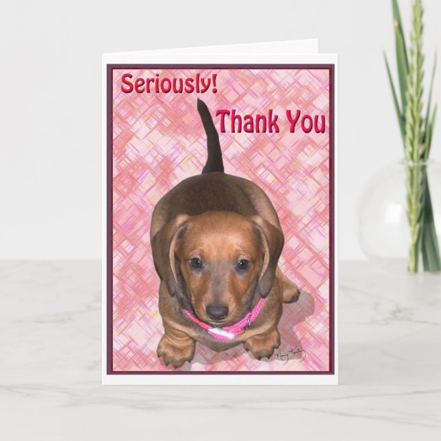 Thank You from A little Dachshund Puppy (Front)