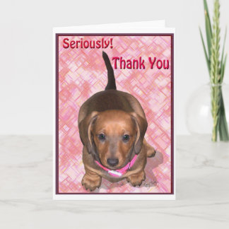 Thank You from A little Dachshund Puppy Card