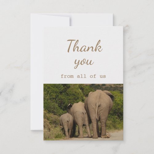 Thank You From All of Us Elephants Animal Fun