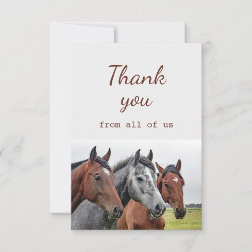 Thank You From All of Us Horses Fun