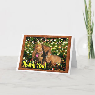 Thank You! From one Dachshund to another.......... Letterpress Thank You Card