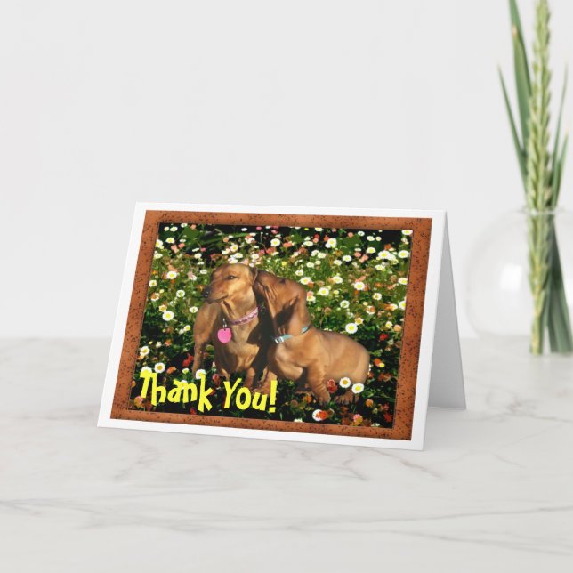 Thank You! From one Dachshund to another.......... Thank You Card (Front)