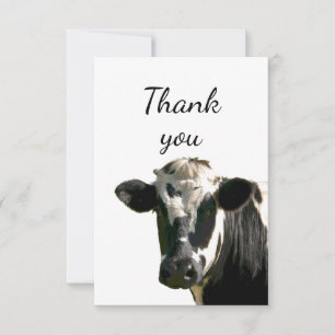 Thank You Fun Curious Holstein Cow Peeking out