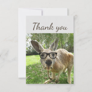Thank You Fun Curious Kangaroo Glasses Animal