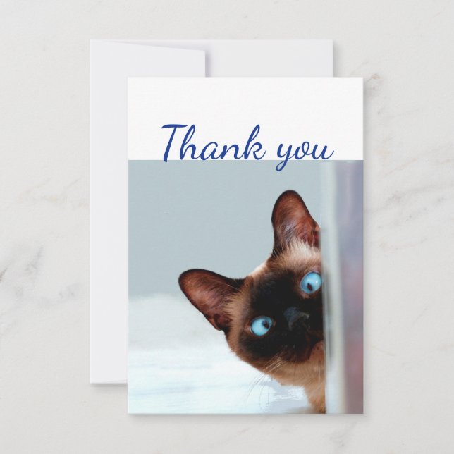 Thank You Fun Curious Peeking Cat Kitten Animal (Front)