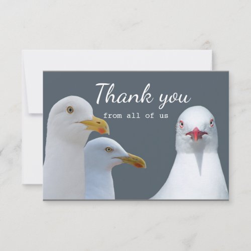 Thank You Fun From all of US Seagull Group
