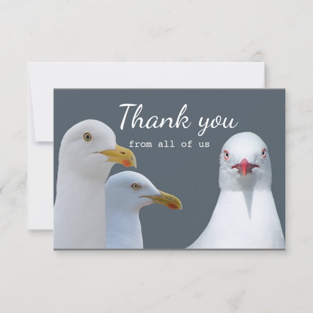 Thank You Fun From all of US Seagull Group Card (Front)