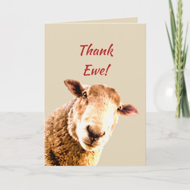 Thank You Ewe Funny Sheep 3D Fluff Handmade Greeting Card Farm Animal Lovers 