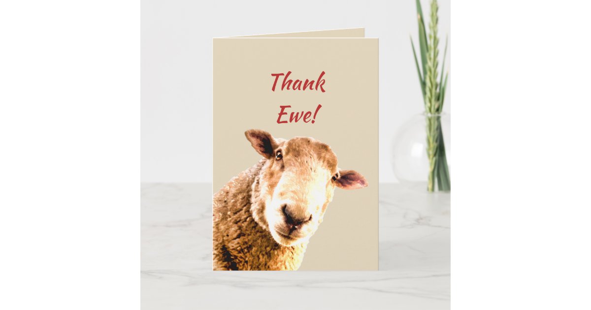 funny thank you animals
