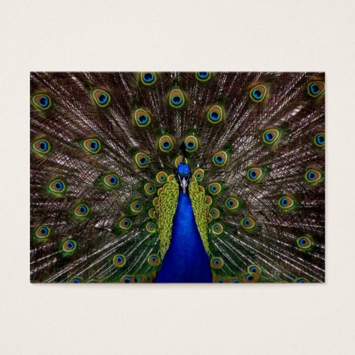 Thank You Gift Tag Business Card Templates