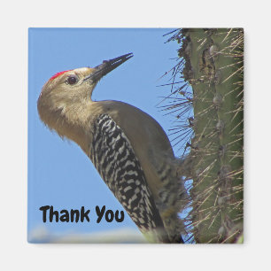Thank You Gila Woodpecker Photo Southwest Bird Magnet