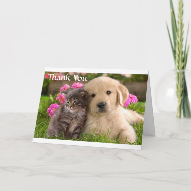 Thank  You Golden Retriever Puppy & Kitten  Card (Front)
