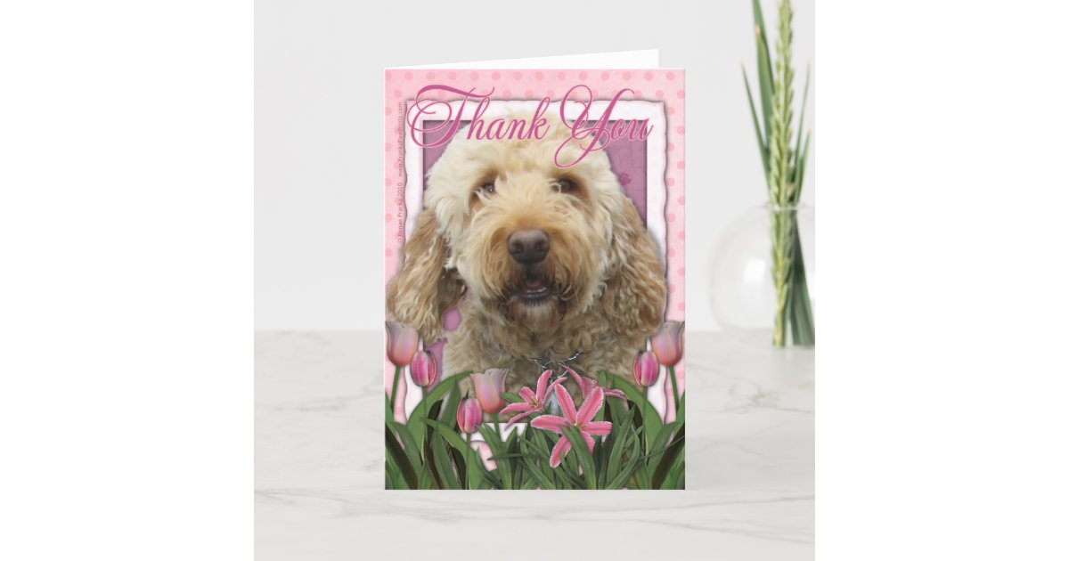 Thank You Goldendoodle