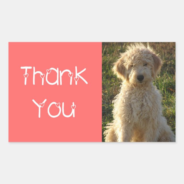 Thank You Goldendoodle Puppy Dog Sticker / Label (Front)