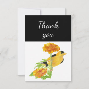 Thank You Goldfinch Garden Bird Watercolor Card