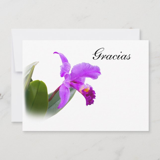 Thank You, Gracias, Spanish, Orchid Card (Front)