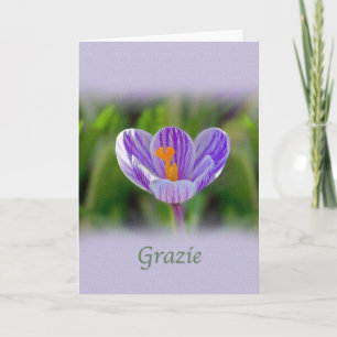 Thank you, Grazie, Italian, Floral Letterpress Thank You Card