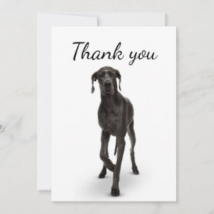 Thank You Great Dane Dog Pet Animal  Card