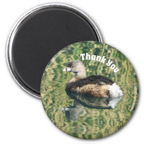 Thank You Grebe and Reflection Photo Appreciation Magnet