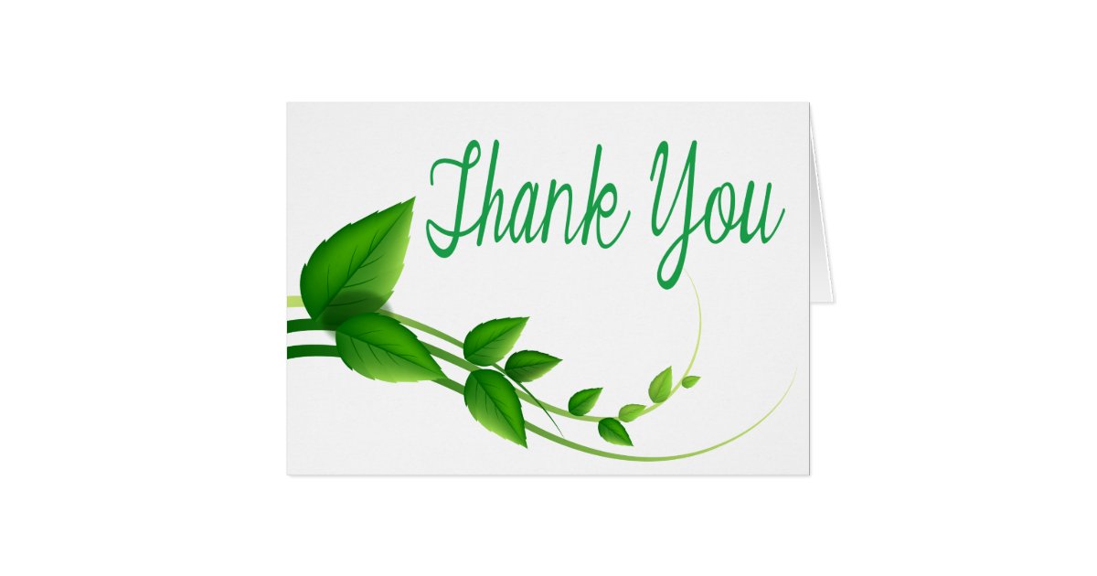 Thank You Green And White Leaf Nature Note Card | Zazzle.com