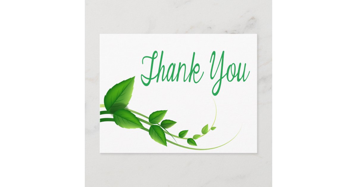Thank You Green And White Leaf Nature Postcard | Zazzle