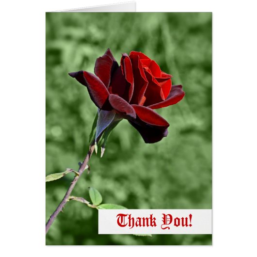 Thank You Greeting Card (Front)