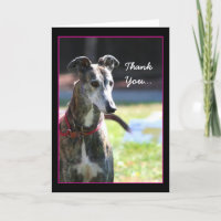 Thank You Greyhound greeting card