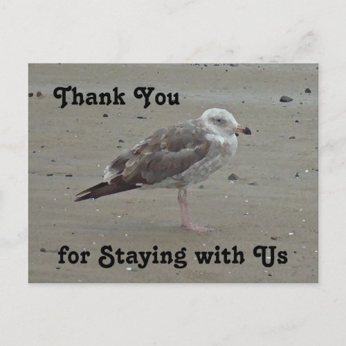 Thank You Guest Beach House Rental Painted Seagull Postcard