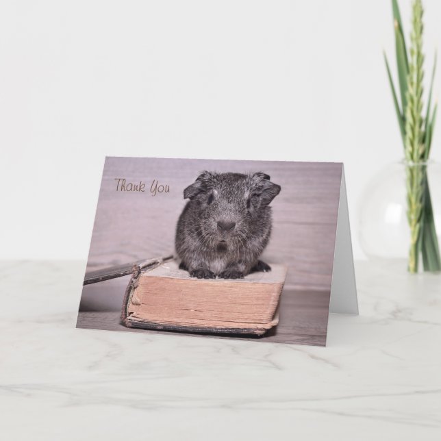 Thank You Guinea Pig Sat on a Book (Front)