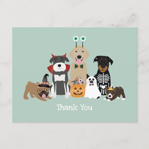 Thank You Halloween Spooky Pet Costumes Postcard