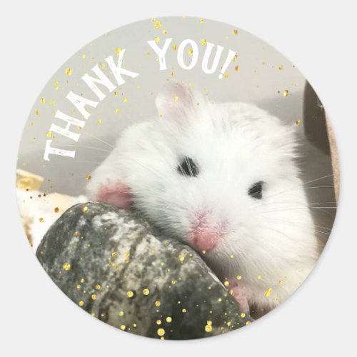 Thank You _ Hammyville White Hamster Classic Round Classic Round Sticker