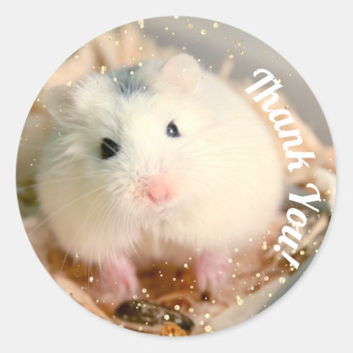 Thank You _ Hammyville White Hamster Classic Round Sticker