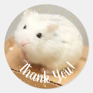 Thank You - Hammyville White Hamster Square Stick Classic Round Sticker