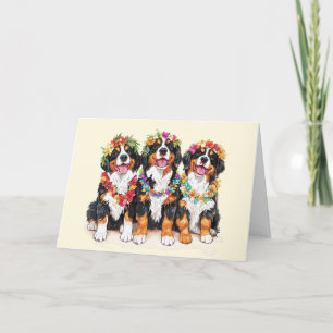 Thank You Hawaiian Bernese Mountain Dogs